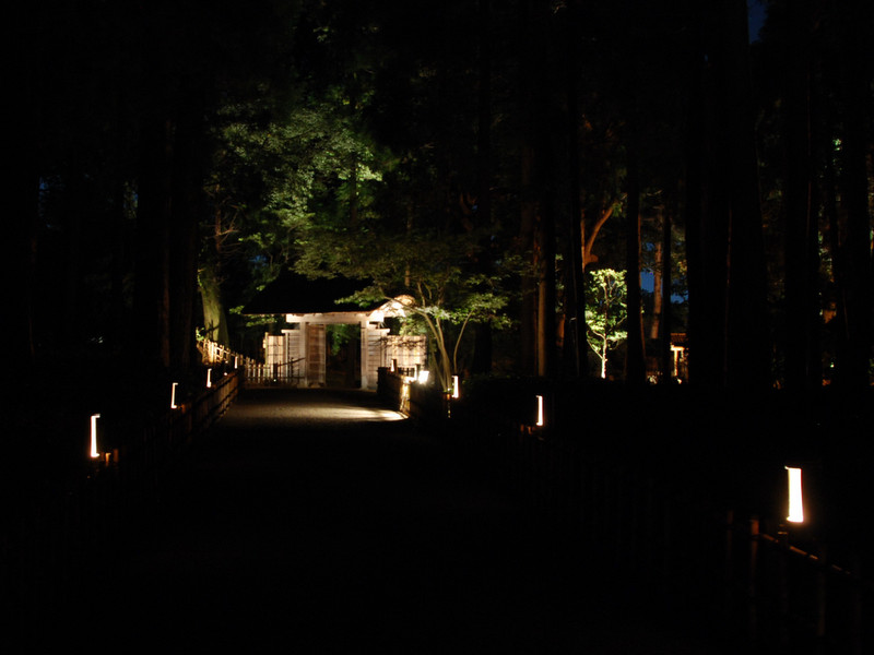 日本三名園のひとつ水戸偕楽園の萩祭りにかぐや“光輝”を使って頂きました