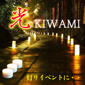 光Kiwami　1個