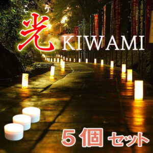 光kiwami　5個 セット