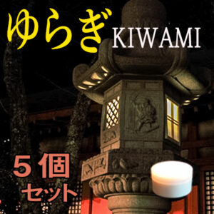ゆらぎkiwami　5個セット