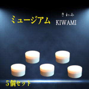 ミュージアムKiwami　5個セット