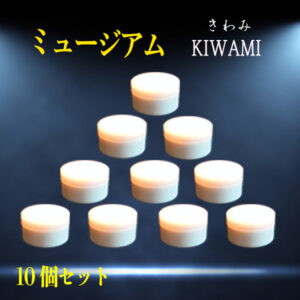 ミュージアムKiwami　10個セット